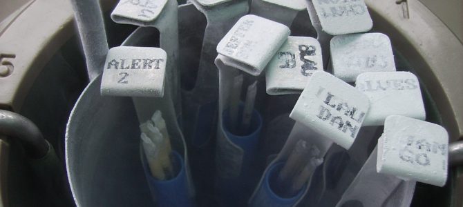 FORMATION A L’INSÉMINATION BOVINE A L&rsquo;ÉFEA LES TRINOTTIÈRES (49)